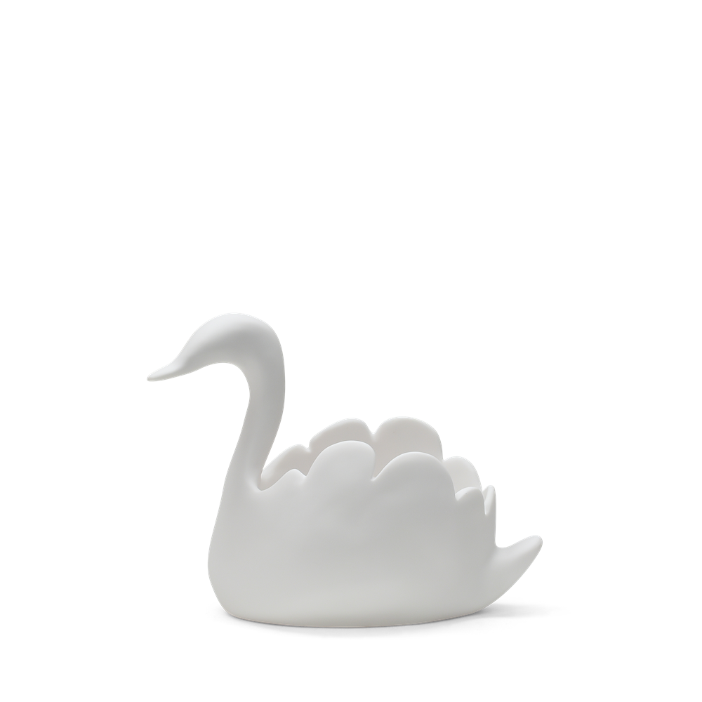 SWAN Medium Vessel