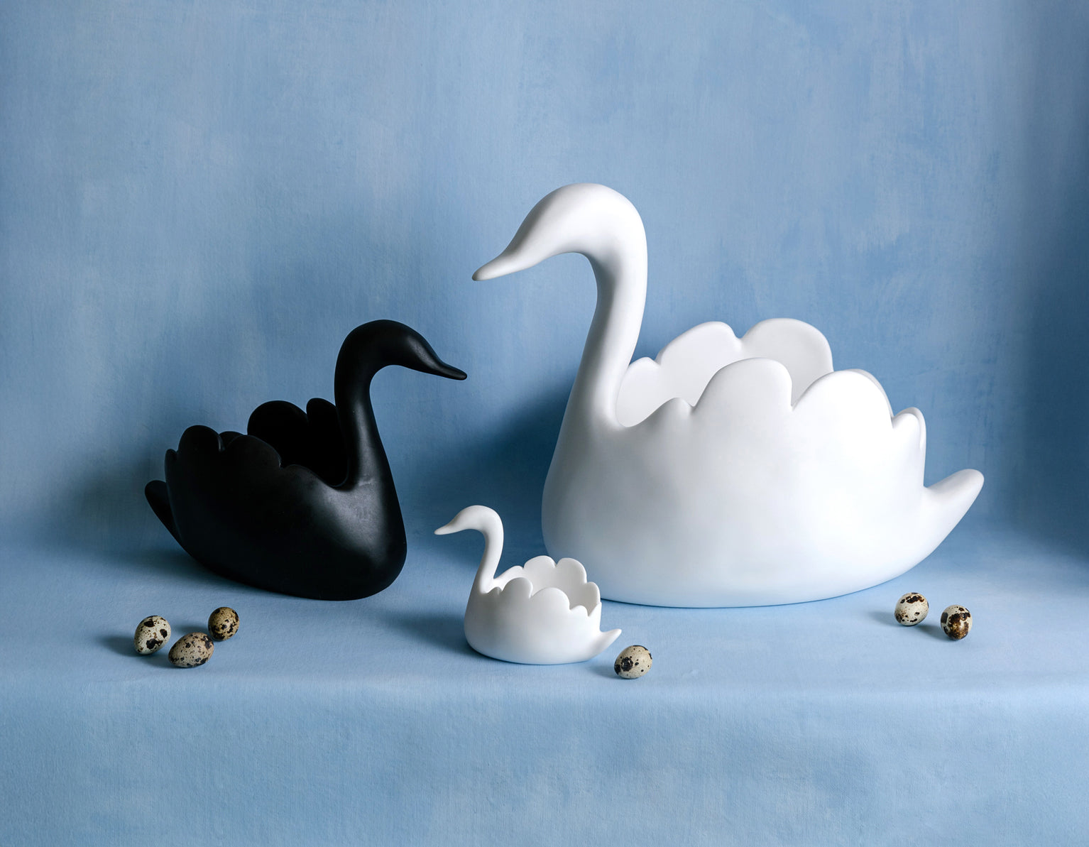 Swan