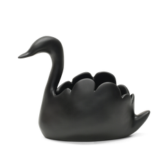 SWAN Large Vessel