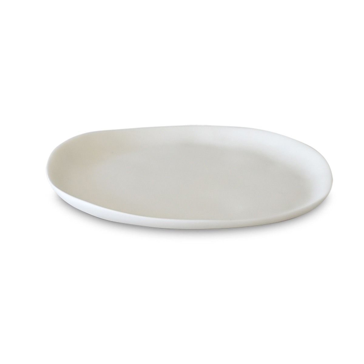SCULPT Large Plate