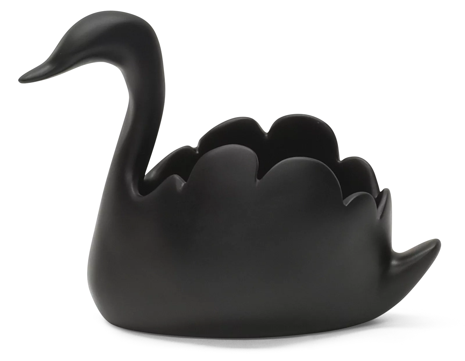Swan